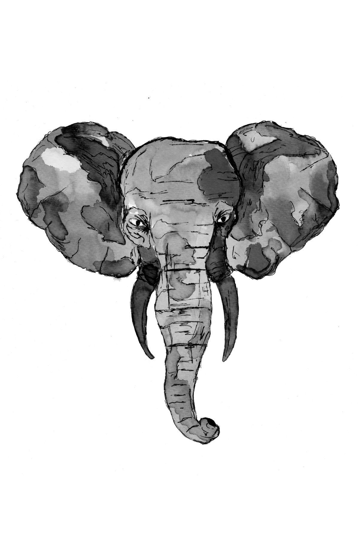 Konfiguration benutzen (Elefant, Tierportrait, afrikanischer Elefant, Ohren, Aquarell, Wunschgröße, zeitgenössisch, Treppenhaus, Wohnzimmer, grau)