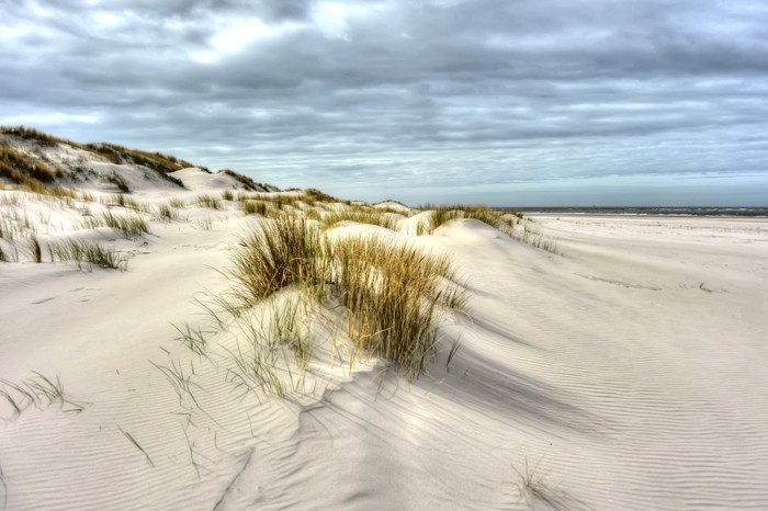Hady Khandani, HDR - DUNES AT THE BEACH - SPIEKEROOG - GERMANY (Hady Khandani, HDR - DUNES AT THE BEACH - SPIEKEROOG - GERMANY)