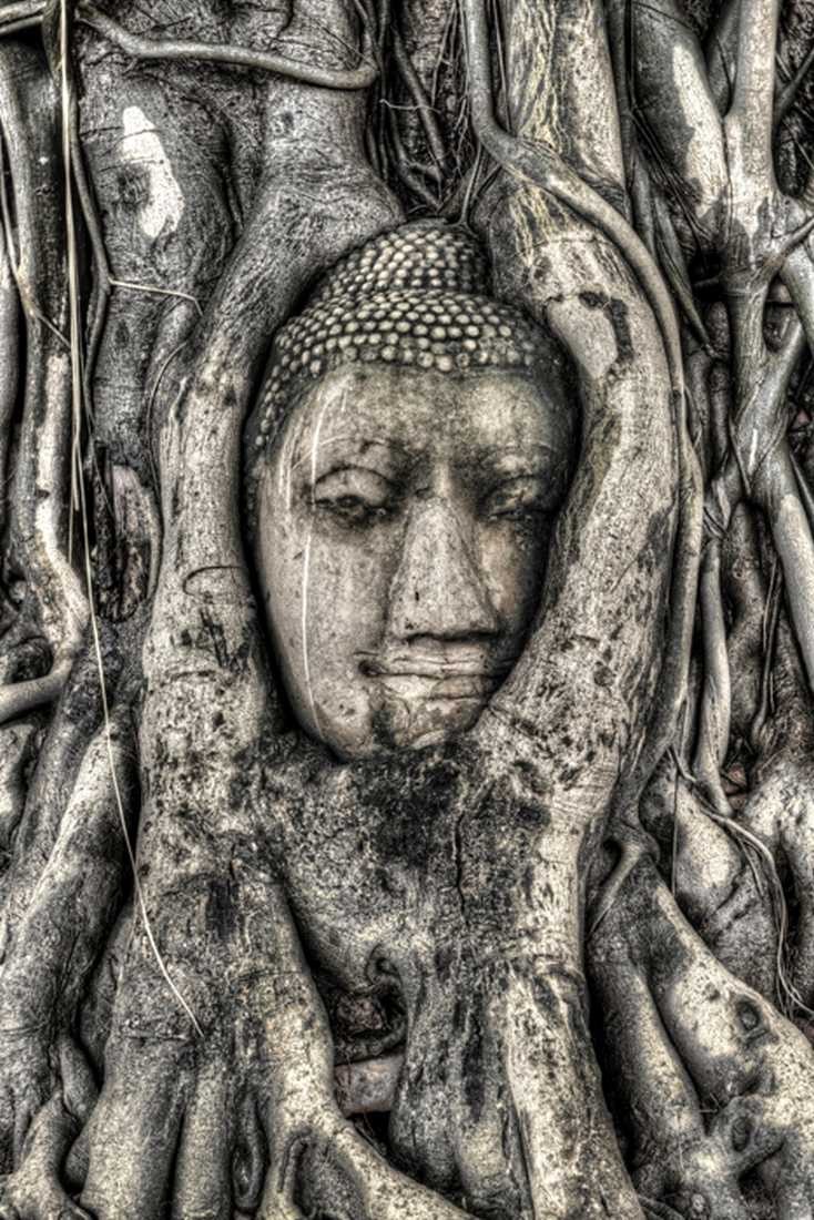 Konfiguration benutzen