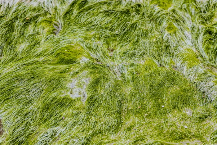 Konfiguration benutzen