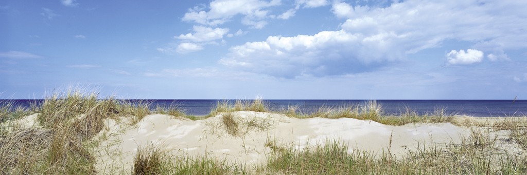 Heinrich Hecht, Die Düne (Strand, Meer, Düne, Sanddüne, Sommer, Horizont, maritim, Meeresbrise, Badezimmer, Treppenhaus, Wohnzimmer, Fotografie, bunt)