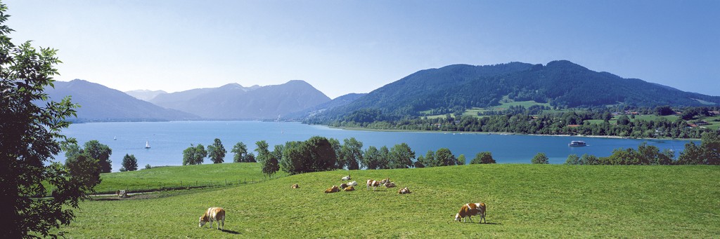 Heinrich Hecht, Bayern (See, Bergsee, Alpen, Berge, Idylle, Kühe, Weiden, Landschaft, Wohnzimmer, Treppenhaus, Fotografie, bunt)