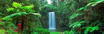 John Xiong, Millaa Millaa Falls, Australia (Photokunst, Wunschgröße, Australien, Landschaften, Felsen, Bäume, Wasserfall, Wald,  Wohnzimmer, Treppenhaus, bunt)