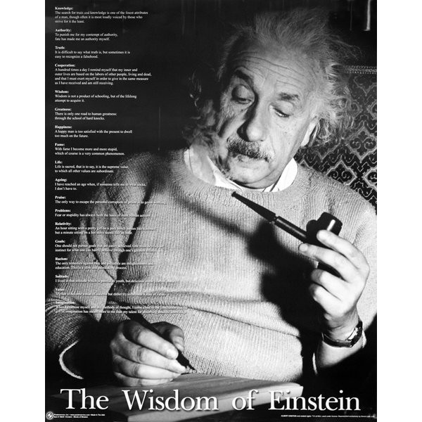 Albert Einstein Zitate Einsteins The Wisdom Of Ein