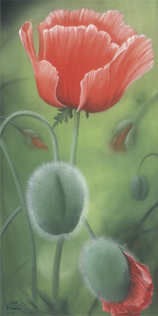 Angela Krenzer, Erwachen 2 (Blumen, Blüten, Mohn, Klatschmohn, Sommer, naturalistisch, Treppenhaus, Wohnzimmer, bunt)