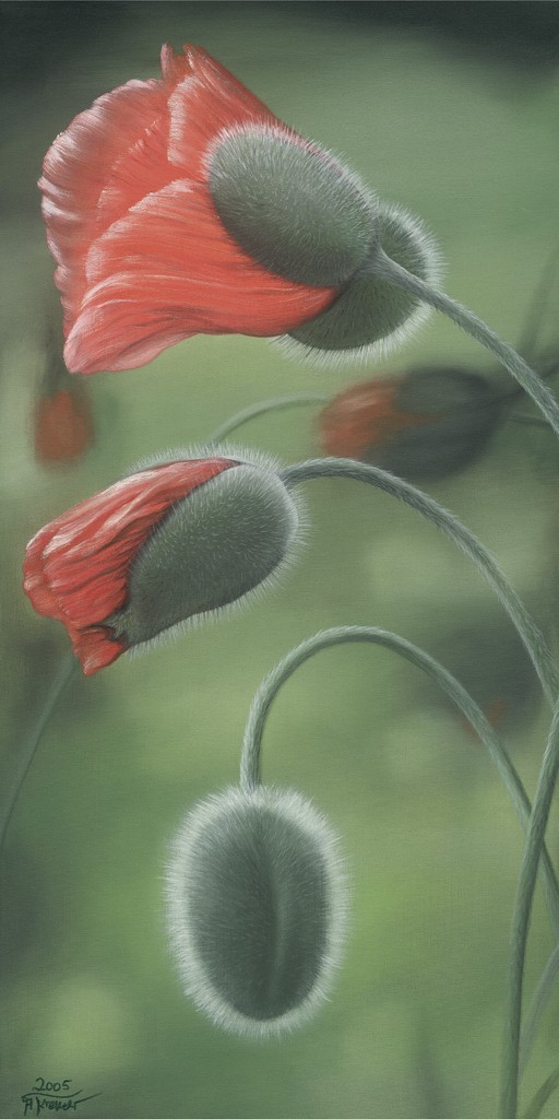 Angela Krenzer, Erwachen 1 (Blumen, Blüten, Mohn, Klatschmohn, Sommer, naturalistisch, Treppenhaus, Wohnzimmer, bunt)