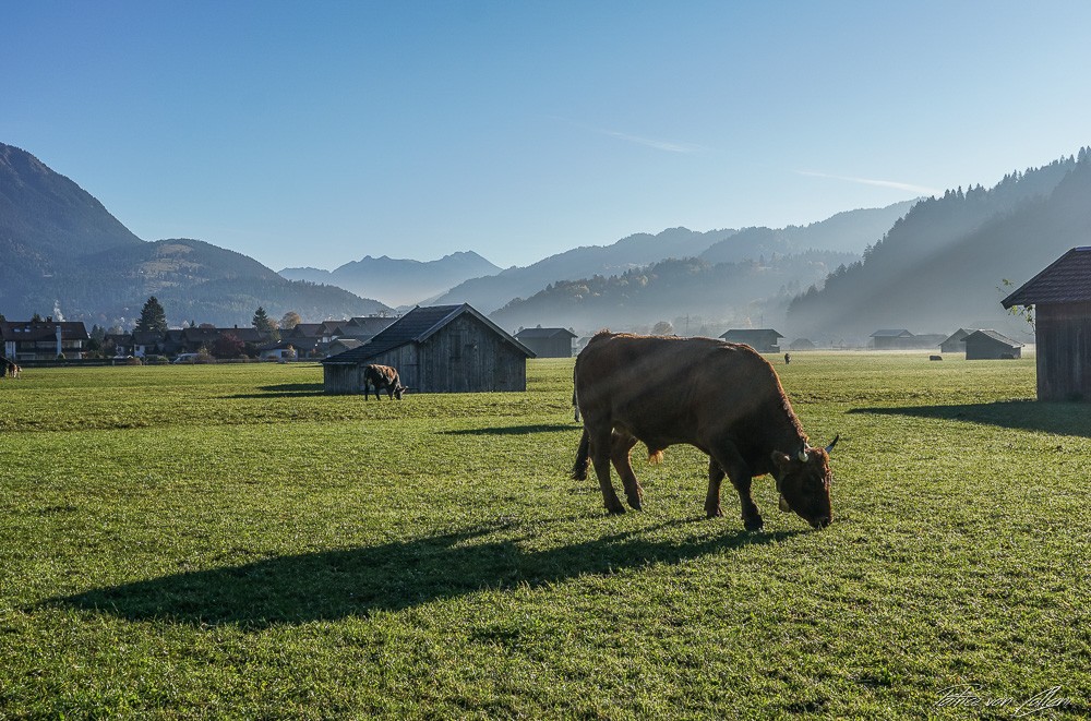 Konfiguration benutzen (Landschaft, Bayern, Weide, Alm, Kühe, Ställe, Fotografie, Wunschgröße, Treppenhaus, Wohnzimmer)