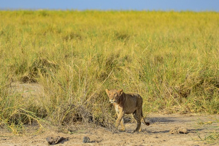 Konfiguration benutzen