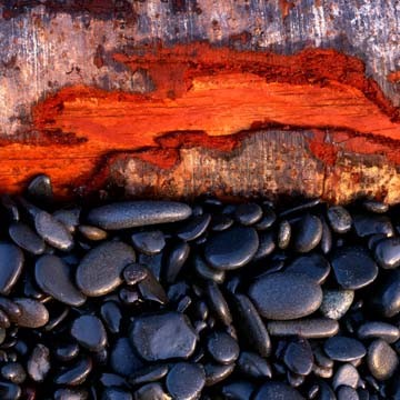 Micha Pawlitzki, Stones (Steine, Kiesel, Holz, Rinde,  Nahaufnahme, Photokunst,  Wohnzimmer, Treppenhaus, modern, Wunschgröße, bunt)