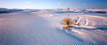 Micha Pawlitzki, Dünen (Landschaftsfotografie, Sand, Dünen, maritim, Horizont, Wunschgröße, Wohnzimmer, Arztpraxis,)