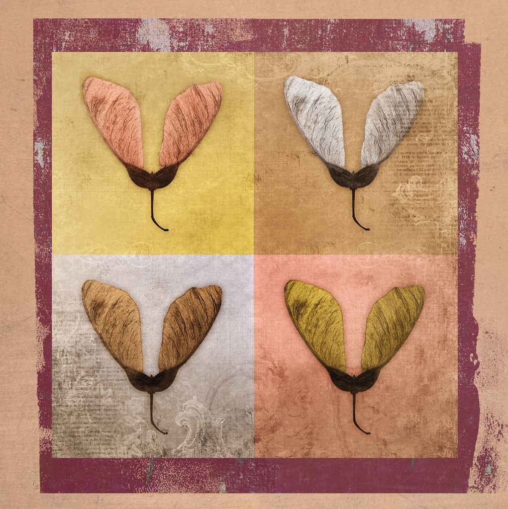 Schahram Minai, Entfaltung 5 (Blatt, Frucht, Ahorn, Samen, Ahornnase, Collage, Ornamente, Wohnzimmer, Treppenhaus, bunt)