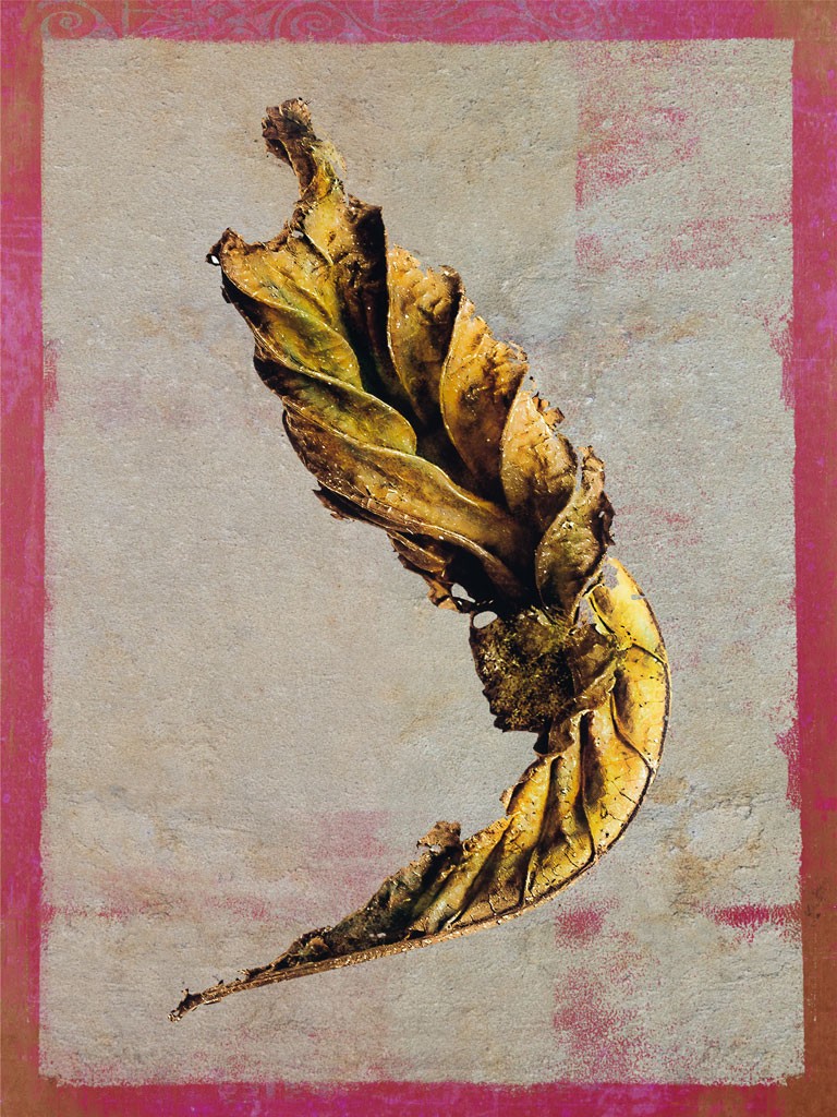 Schahram Minai, Blatt 1 (Blatt, Herbst, vertrocknet, Collage, floraler Hintergrund, Pop Art, Wohnzimmer, Treppenhaus, rosa/gelb)
