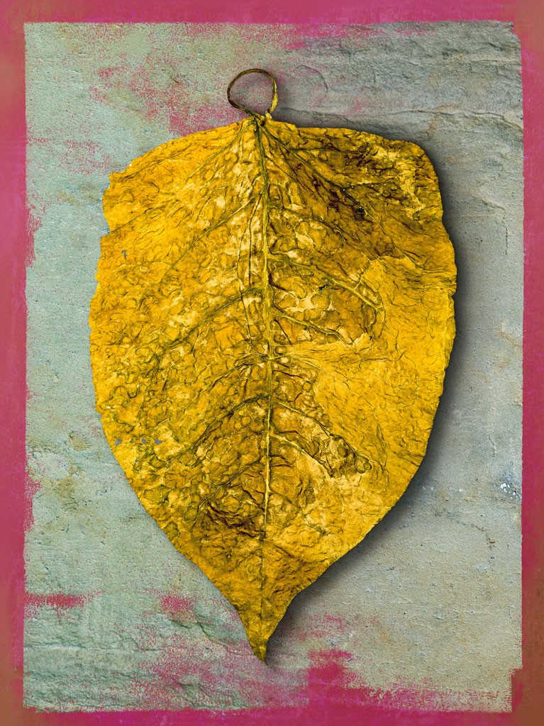 Schahram Minai, Blatt 3 (Blatt, Herbst, vertrocknet, Collage, floraler Hintergrund, Pop Art, Wohnzimmer, Treppenhaus, bunt)