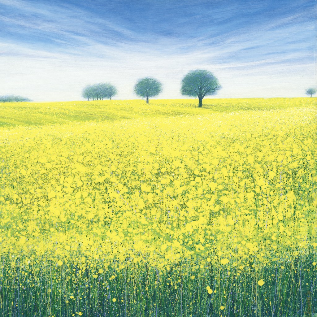 Nico Namara, Raps mit Bäumen (Natur & Landschaft, Feld, Rapsfeld, Frühling, Blüte, Bäume, Malerei, Wohnzimmer, Treppenhaus, Arztpraxis, bunt)