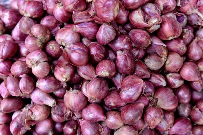 Hady Khandani, ONIONS (Zwiebeln, rote Zwiebeln, Gemüse, Fotografie, Küche, Esszimmer, Gastronomie, Wunschgröße, bunt)