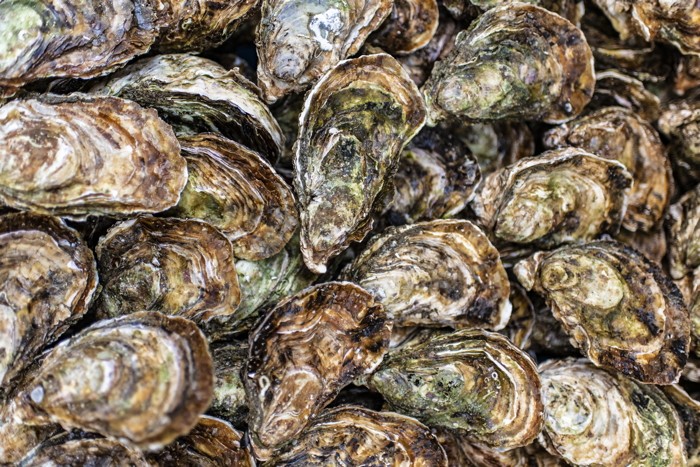 Konfiguration benutzen