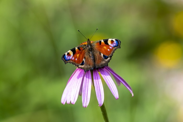 Konfiguration benutzen