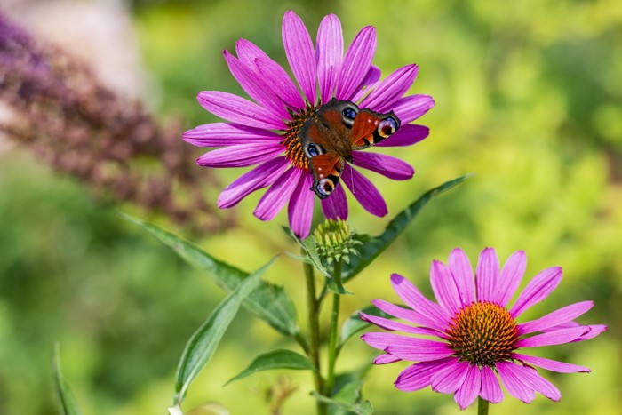 Konfiguration benutzen