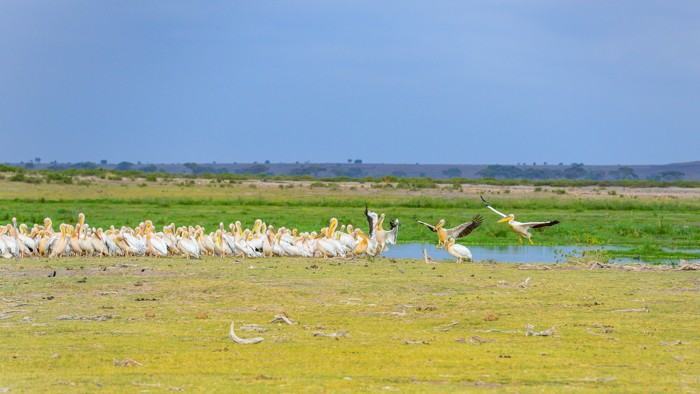 Konfiguration benutzen