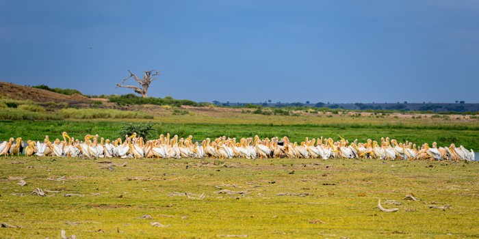 Konfiguration benutzen