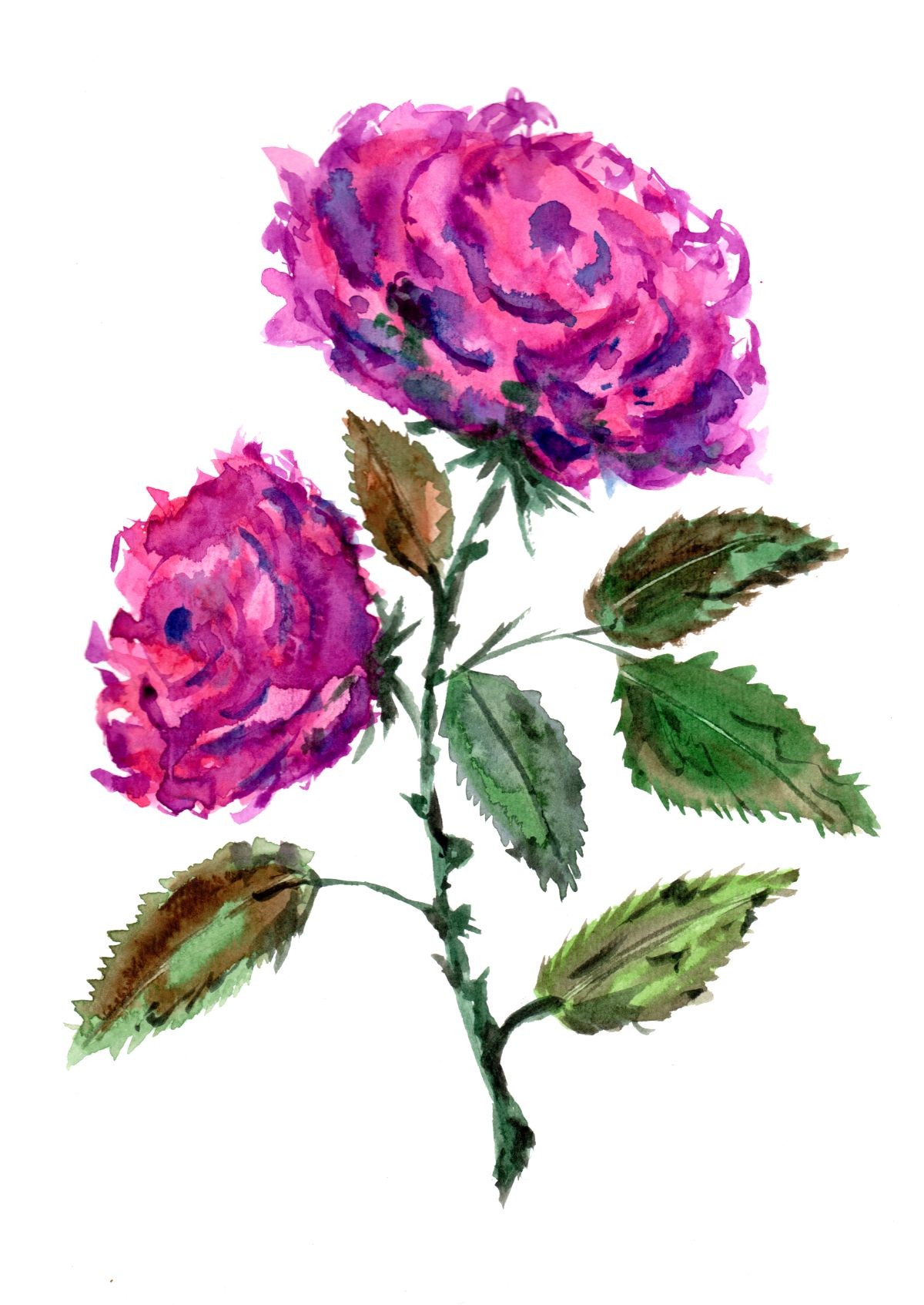 Konfiguration benutzen (Rosen, Blumen, Pflanzen, Natur,   Blätter, Blüten, Symbol, Liebe, Aquarell, Wunschgröße, zeitgenössisch, Treppenhaus, Wohnzimmer,)