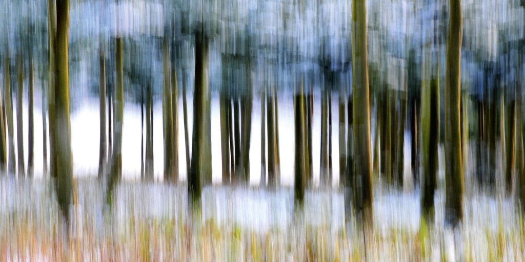 Michael Rateike, Waldzauber 2 (Wald, Bäume, Natur & Landschaft, Fotokunst, verschwommen, diffus, unscharf, Wohnzimmer, Treppenhaus, bunt)