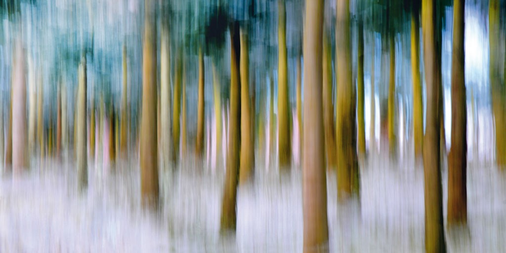 Michael Rateike, Waldzauber 14 (Wald, Bäume, Natur & Landschaft, Fotokunst, verschwommen, diffus, unscharf, Wohnzimmer, Treppenhaus, bunt)