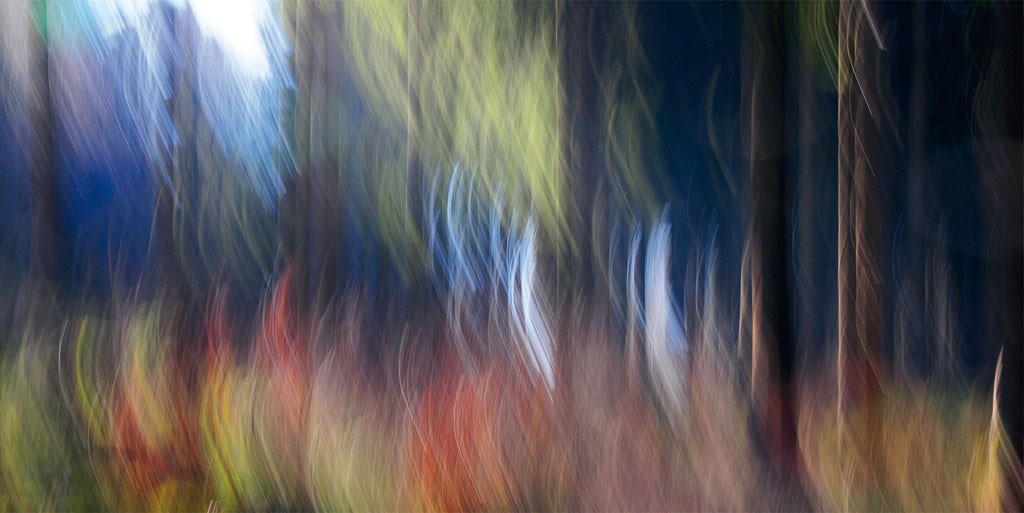 Michael Rateike, Waldzauber 16 (Wald, Bäume, Natur & Landschaft, Fotokunst, verschwommen, diffus, unscharf, Wohnzimmer, Treppenhaus, bunt)