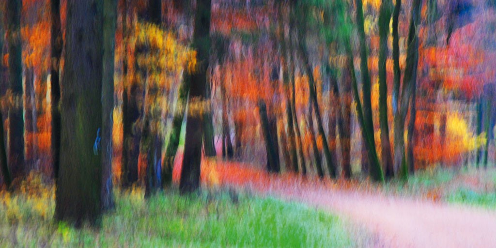 Michael Rateike, Waldzauber 24 (Wald, Bäume, Natur & Landschaft, Waldweg, Fotokunst, verschwommen, diffus, unscharf, Wohnzimmer, Treppenhaus, bunt)