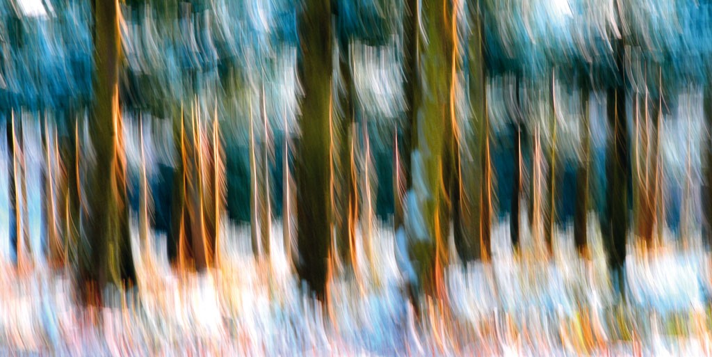 Michael Rateike, Waldzauber 12 (Wald, Bäume, Natur & Landschaft, Fotokunst, verschwommen, diffus, unscharf, Wohnzimmer, Treppenhaus, bunt)