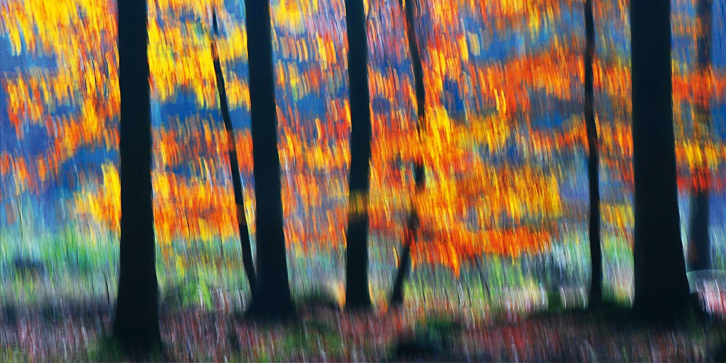 Michael Rateike, Waldzauber 19 (Wald, Bäume, Natur & Landschaft, Fotokunst, verschwommen, diffus, unscharf, Wohnzimmer, Treppenhaus, bunt)