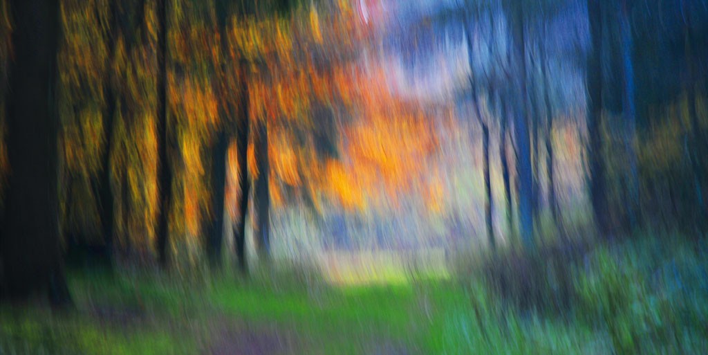 Michael Rateike, Waldzauber 25 (Wald, Bäume, Natur & Landschaft, Waldweg, Fotokunst, verschwommen, diffus, unscharf, Wohnzimmer, Treppenhaus, bunt)