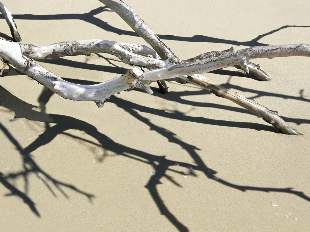 Udo Schroeter, Treibholz 4 (Treibholz, Sand, Strand, maritim, Nahaufnahme, Fotografie, Badezimmer, Treppenhaus, bunt)