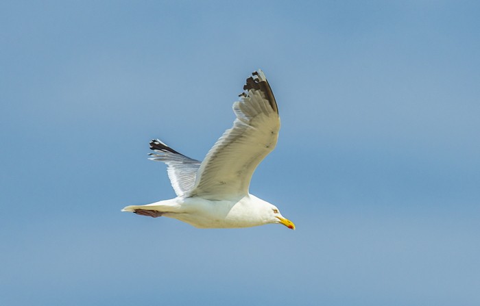 Konfiguration benutzen