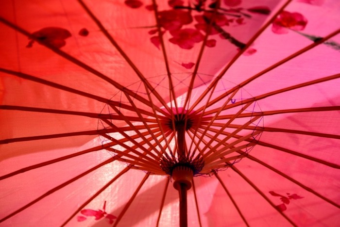 Hady Khandani, SILK UMBRELLA - RED