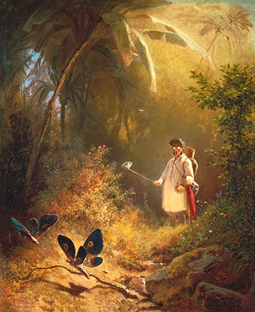 Carl Spitzweg, Der Schmetterlingsfänger (Malerei, Klassiker, Schmetterlingsfänger, Schmetterlinge, Wald, Tropen, Käscher, witzig, lustig, Humor, Sonnenlicht, Spätromantik, Hobby, Wunschgröße, Wohnzimmer, bunt)