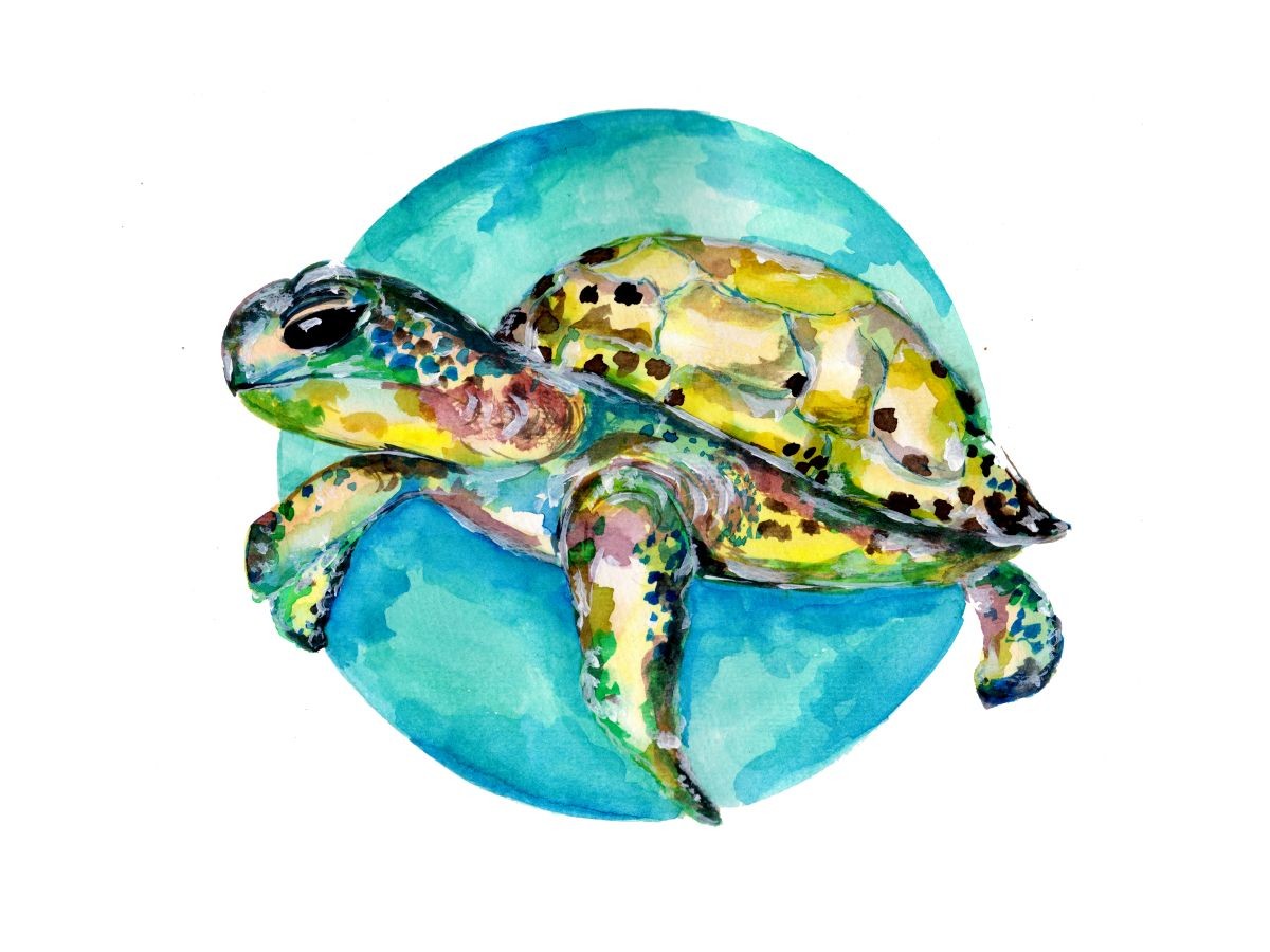 Konfiguration benutzen (Schildkröte, Tiere, Panzer, Ozean, Unterwasser, Meer,   Amphibien, Reptilien,  Aquarell,  Wunschgröße, zeitgenössisch, Treppenhaus, Wohnzimmer, Badezimmer)