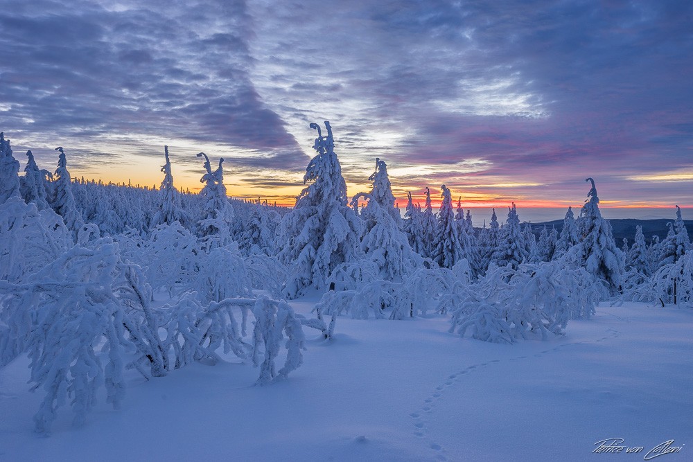 Konfiguration benutzen (Berg, Winter, Schnee, Tannen, Schnee, Schneehauben,  Tierspuren, eingeschneit, Sonne, Idylle, Wunschgröße, Treppenhaus, Wohnzimmer, Fotografie,)