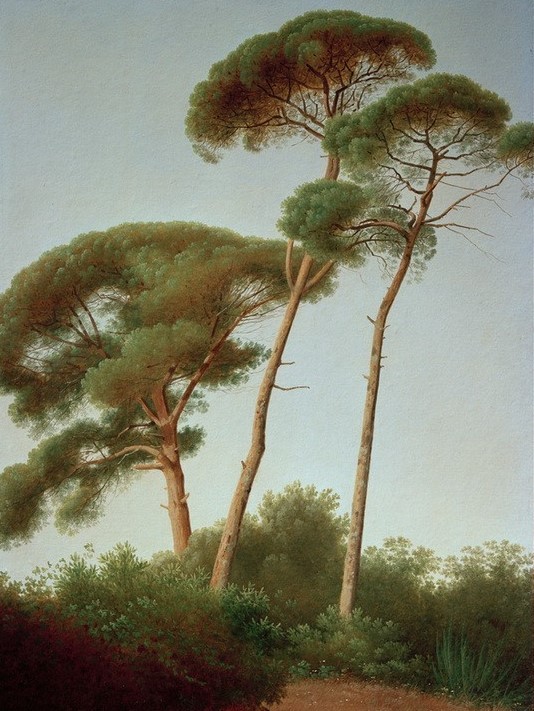Joseph August Knip, Pinien (Natur, Landschaft, Bäume, Pinien, Mediterran, Wünschgröße, Treppenhaus, Wohnzimmer, bunt)