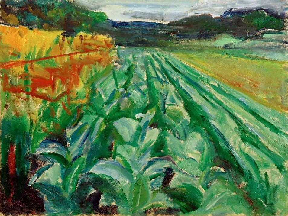 Edvard Munch, Kohlfeld (Ackerbau,Gemüse,Kunst,Landschaft,Expressionismus,Kohl,Acker,Norwegische Kunst,Feld,Gemüseanbau,Skandinavische Kunst,Landwirtschaft)