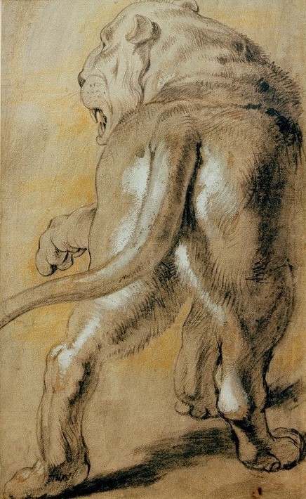 Peter Paul Rubens, Rückenansicht einer Löwin nach links (Flämische Kunst,Kunst,Löwe (Tier),Zoologie,Barock,Studie,Niederländische Kunst,Raubkatze,Raubtier,Tier,Daniel In Der Löwengrube,Löwin)