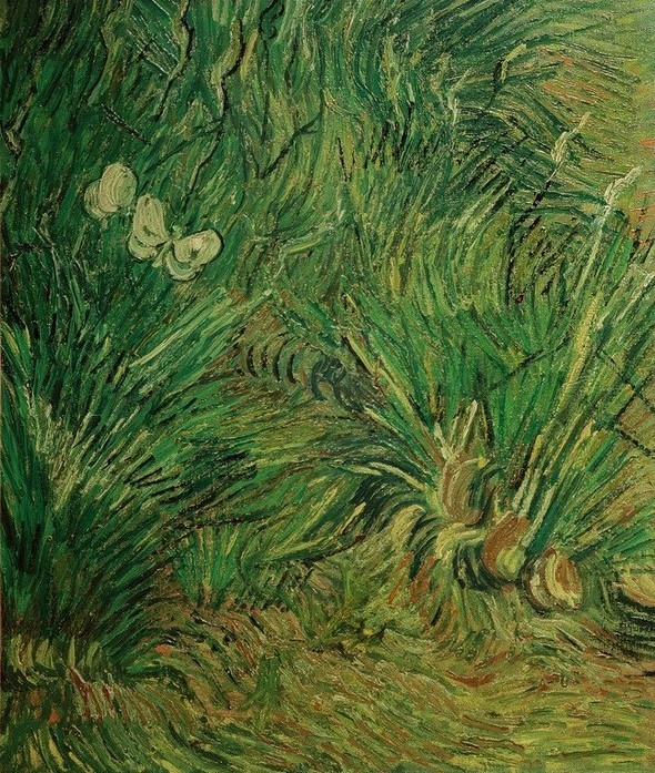 Vincent van Gogh, Zwei weiße Schmetterlinge (Botanik,Kunst,Zoologie,Impressionismus,Insekt,Schmetterling,Niederländische Kunst,Tier,Tierpräparat,Pflanze,Postimpressionismus)