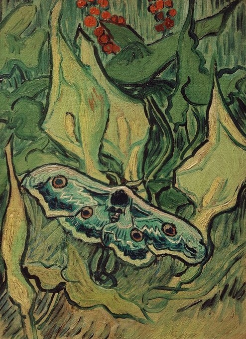 Vincent van Gogh, Totenschädel-Falter auf Blumen (Botanik,Kunst,Zoologie,Impressionismus,Insekt,Schmetterling,Niederländische Kunst,Tier,Blume,Totenkopf (Nachtfalter),Tierpräparat,Pflanze,Postimpressionismus)