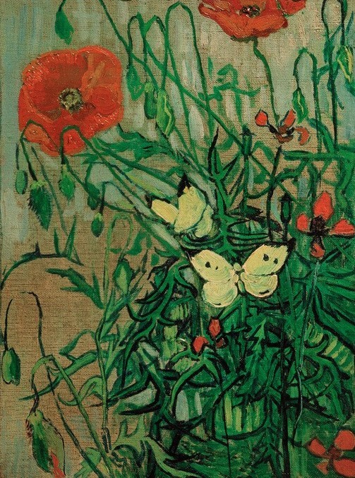Vincent van Gogh, Schmetterlinge auf Mohnblüten (Botanik,Kunst,Zoologie,Impressionismus,Mohn,Insekt,Schmetterling,Niederländische Kunst,Tier,Blume,Blüte,Tierpräparat,Pflanze,Postimpressionismus)