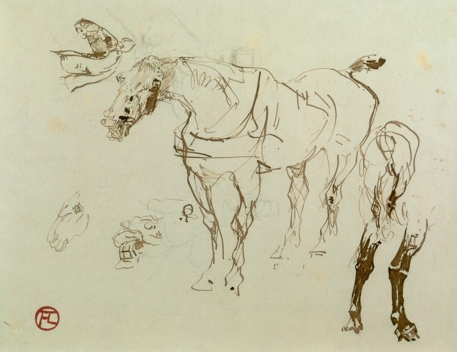 Henri de Toulouse-Lautrec, Pferd und Pferdestudien (Kunst,Pferd (Tier),Zoologie,Studie,Französische Kunst,Tier,Tierstudie)