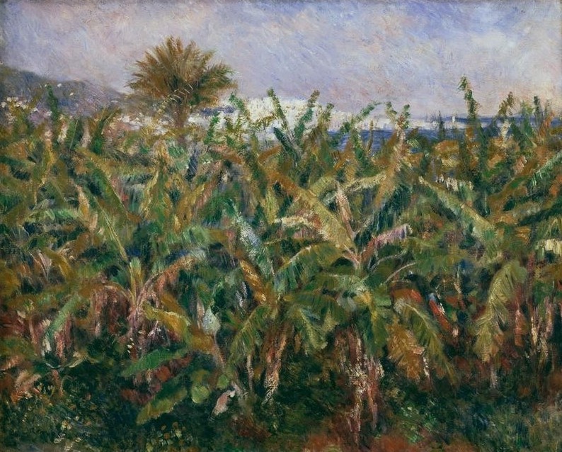 Pierre-Auguste Renoir, Champ de bananiers (Banane,Früchte,Landschaft,Maler (Künstler),Plantage,Impressionismus,Genussmittel,Nahrungsmittel,Französische Kunst)