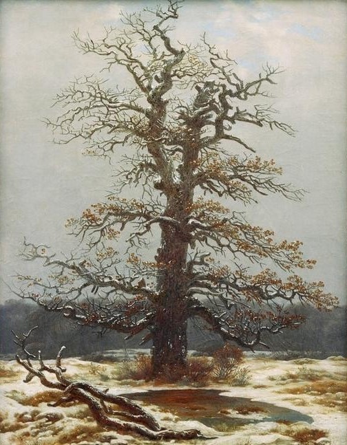 Caspar David Friedrich, Eiche im Schnee (Botanik,Deutsche Kunst,Eiche,Jahreszeiten,Kunst,Landschaft,Winter,Schnee,Baum,Naturstudie,Solitär (Baum),Romantik,Symbolik)