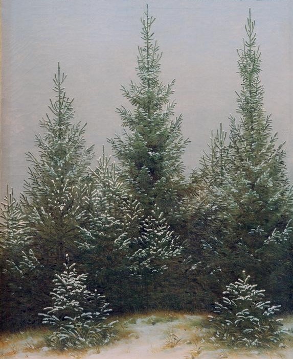 Caspar David Friedrich, Fichtendickicht im Schnee (Botanik,Deutsche Kunst,Jahreszeiten,Kunst,Landschaft,Winter,Wald,Nadelwald,Schnee,Fichte,Baum,Naturstudie,Romantik,Baumgruppe,Nadelbaum)