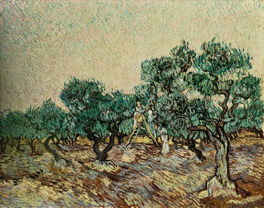 Vincent van Gogh, Olivenpflücker (Botanik,Ernte,Landschaft,Olivenhain,Impressionismus,Baum,Niederländische Kunst,Olivenbaum,Pflücken,Landwirtschaft)