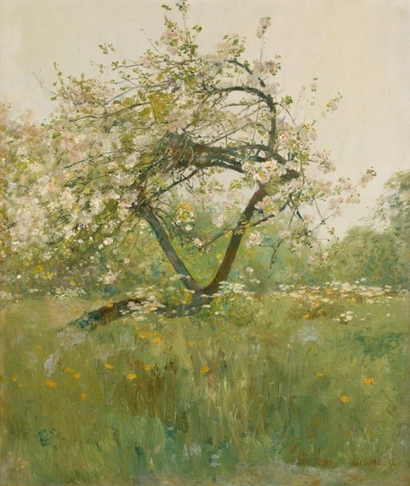 Frederick Childe Hassam, Pfirsichblüten—Villiers-le-Bel (Jahreszeiten,Frühling,Baum,Wiese,Blüte,Pfirsichbaum)